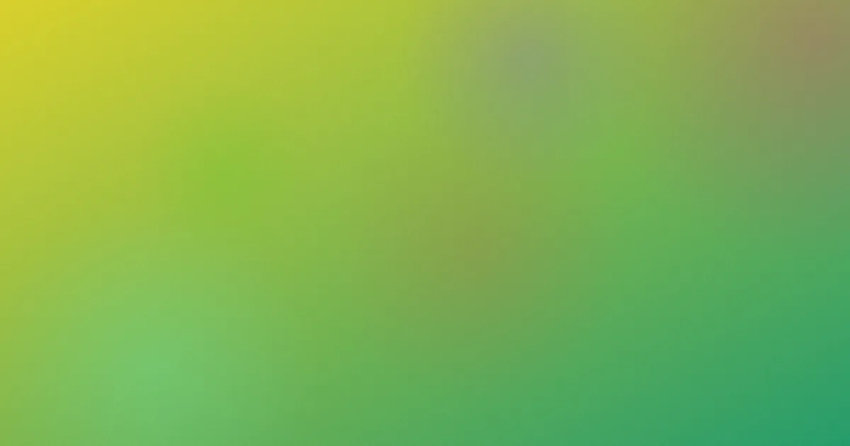 夜色成人推荐：新手对比指南